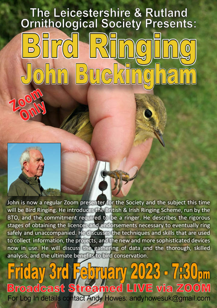 LROS - Bird Ringing - John Buckingham