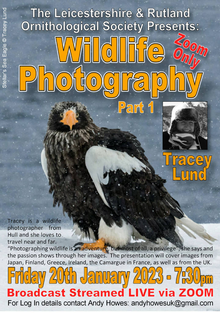 LROS - Wildlife Photography - Tracey Lund