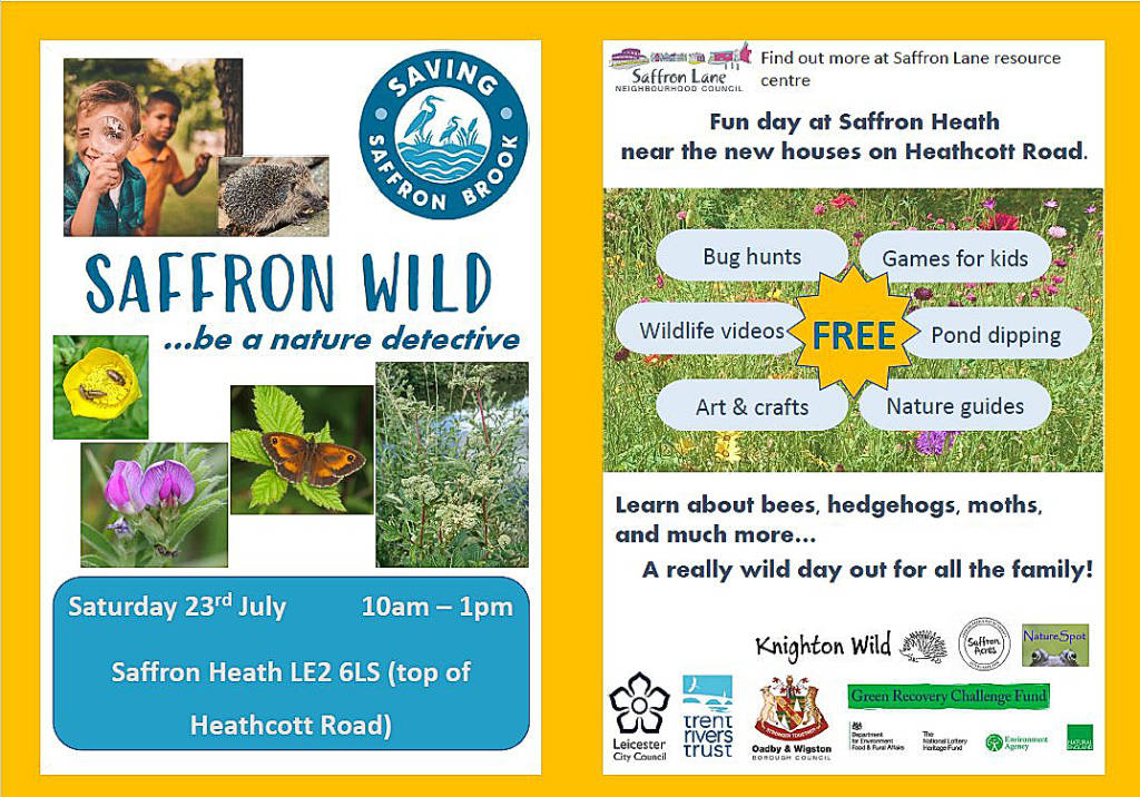 Family Nature Detective Day