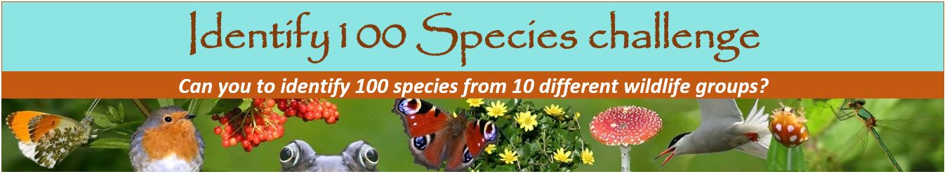 100 species