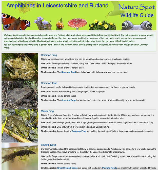 Amphibians Guide