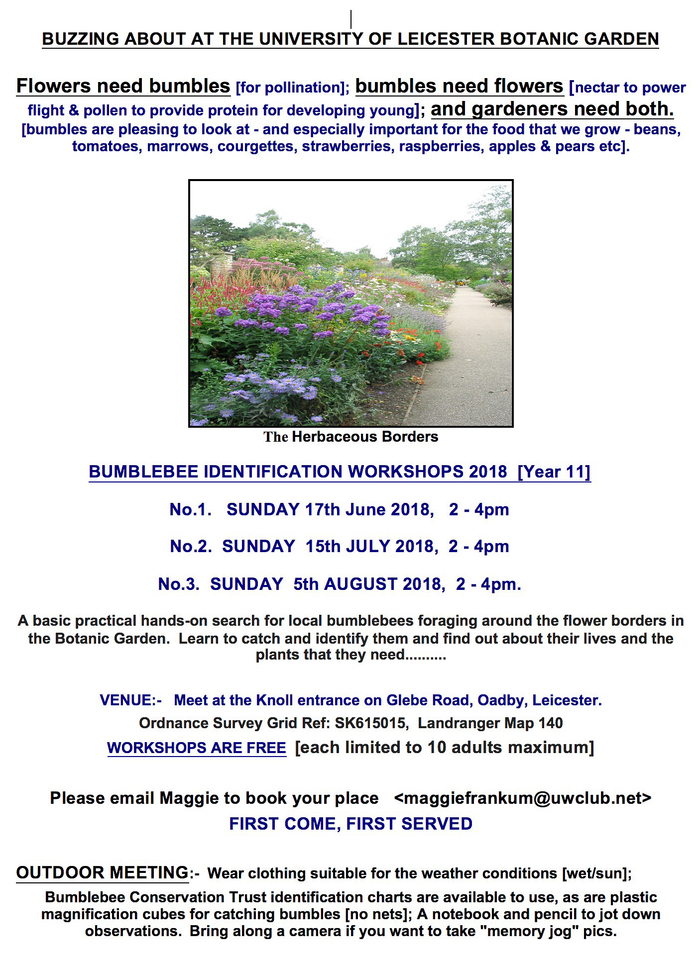 Bumblebee Identification Workshops