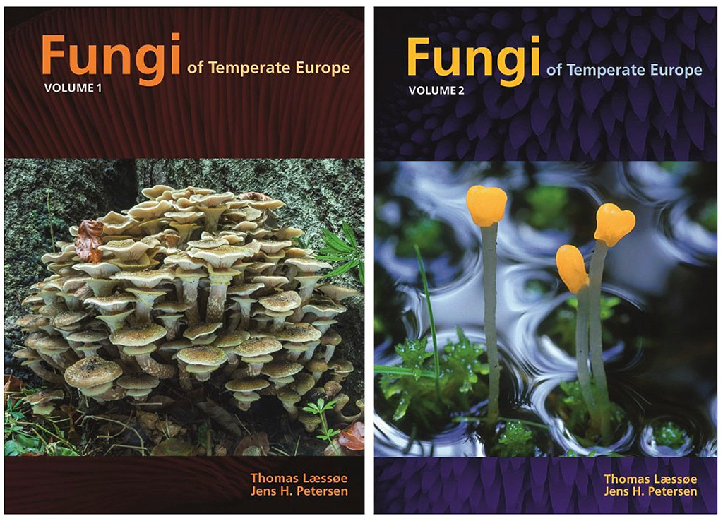 Fungi-of-Temperate-Europe