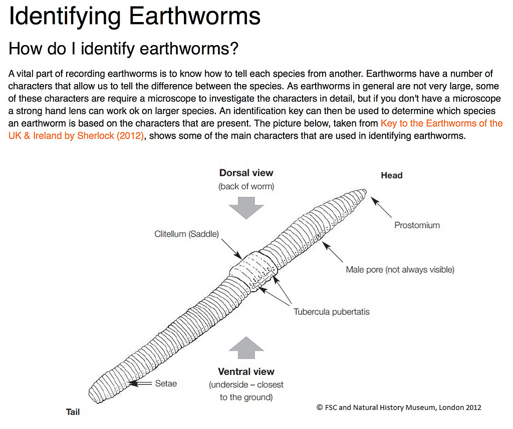 Identifying Earthworms