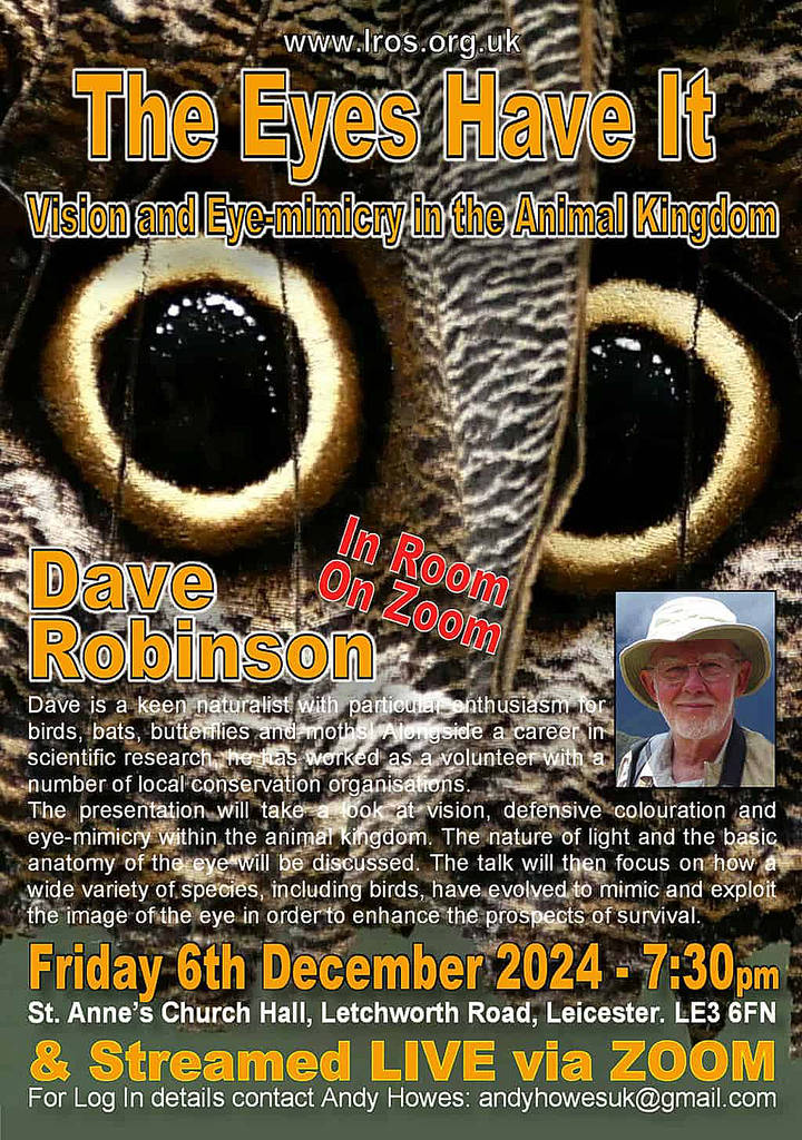 LROS - The Eyes Have It - Dave Robinson