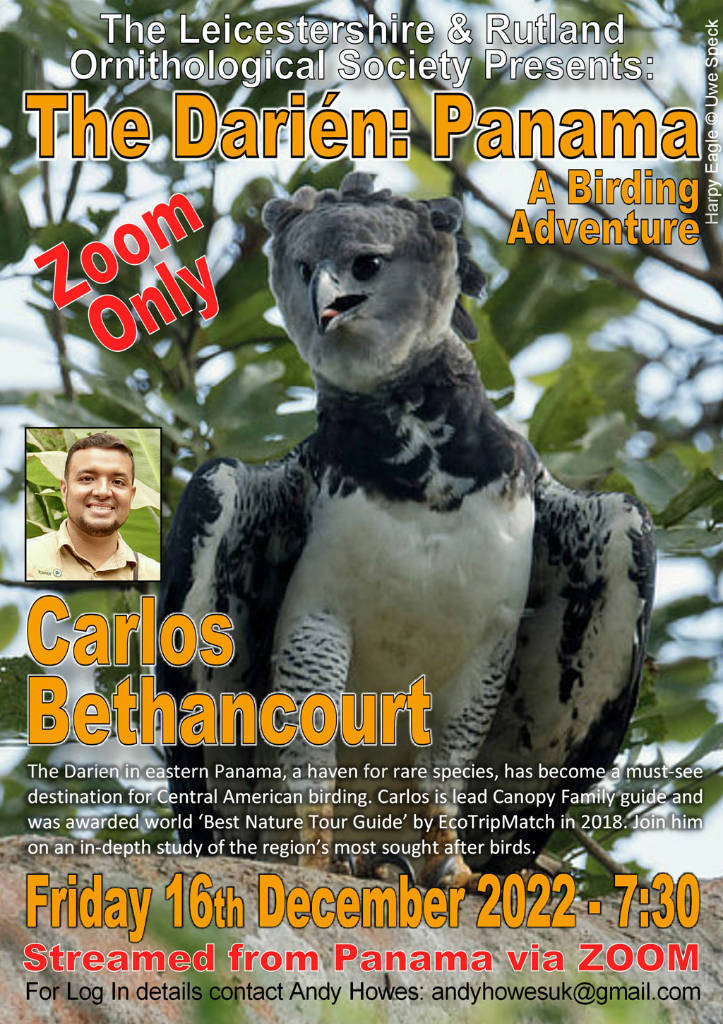 LROS - Panama - Carlos Bethancourt