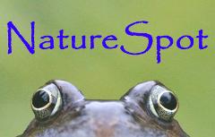 NatureSpot