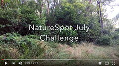 NatureSpot July Challenge