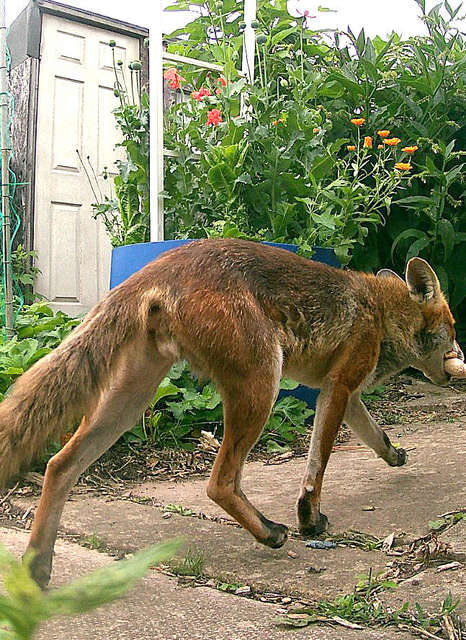 Photo of the Month July 2023