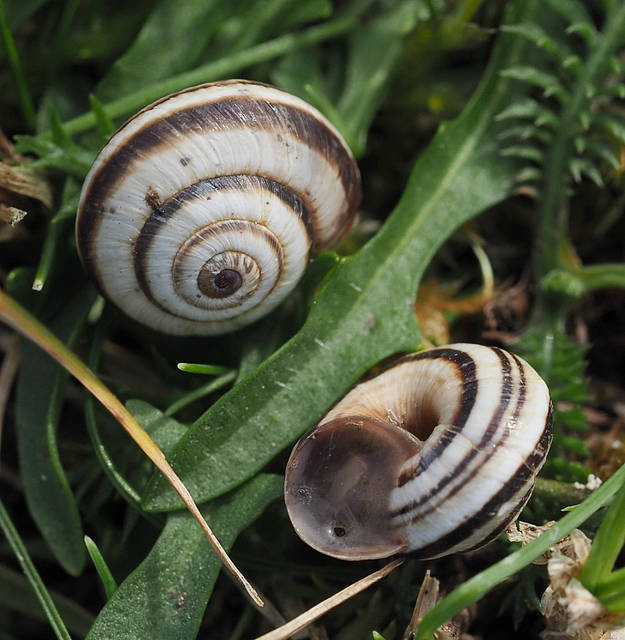 Photo of the Month October 2023