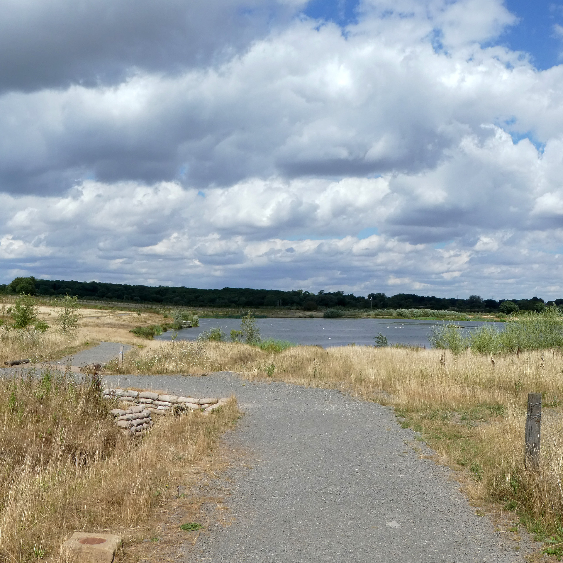 Queen Elizabeth Diamond Jubilee Wood