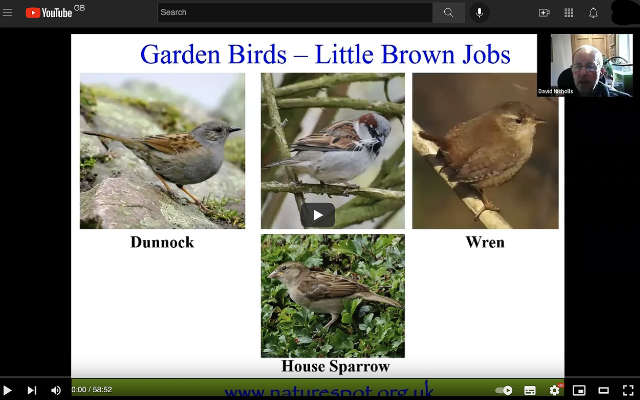 Identify - Birds and Butterflies